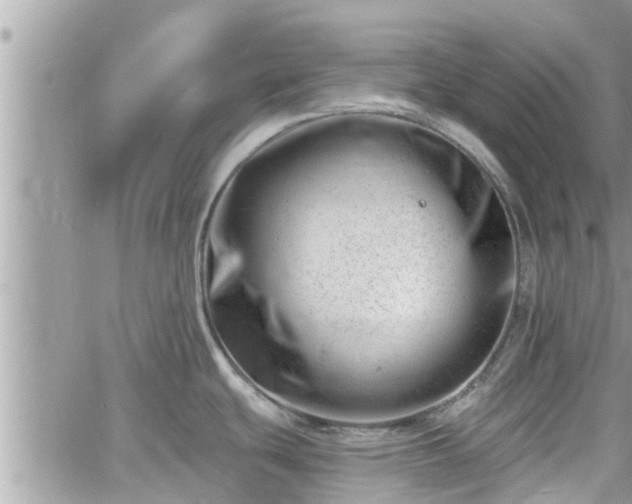 X0000060741439200511171046