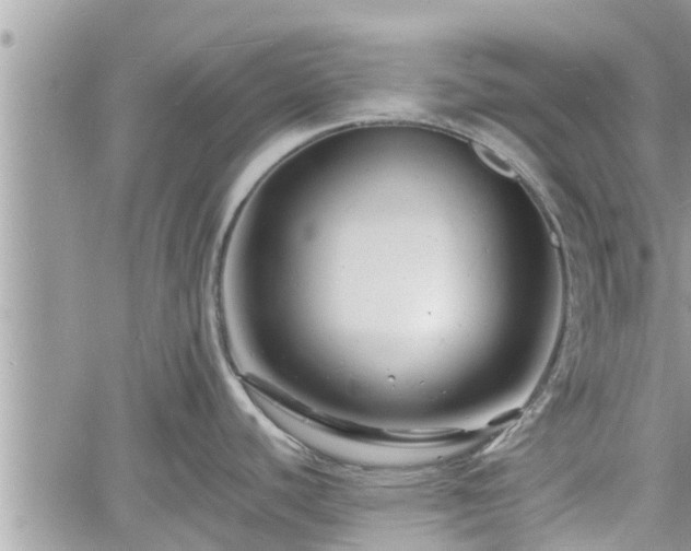 X0000060741440200511171046