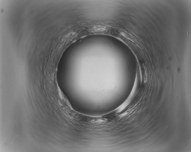 X0000060741441200511171045