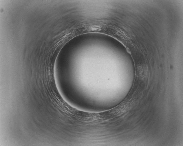 X0000060741442200511171045