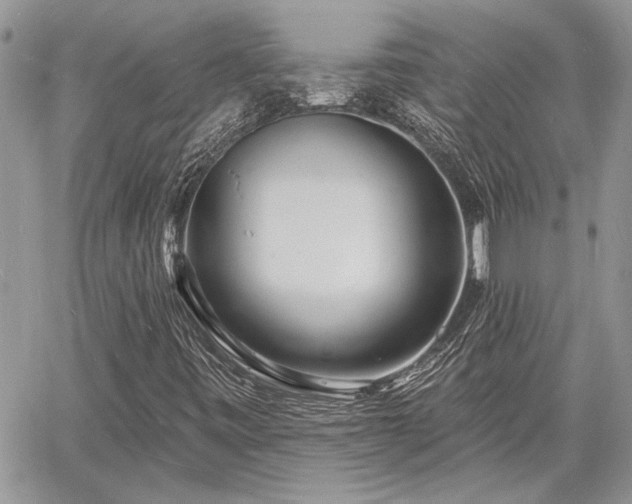 X0000060741443200511171045