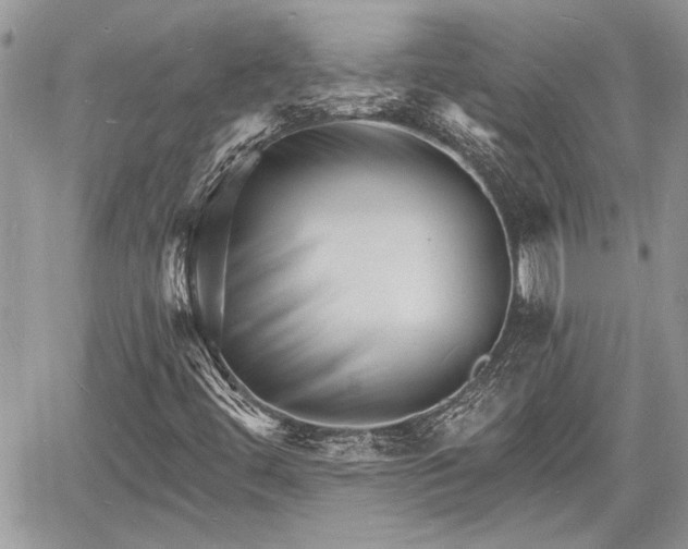 X0000060741444200511171045