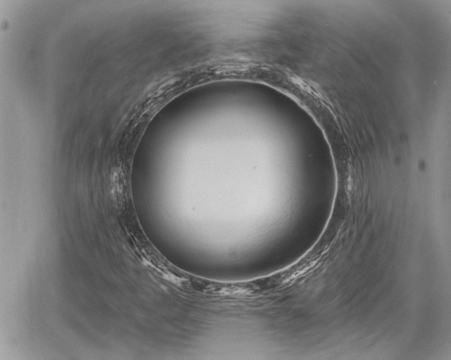 X0000060741445200511171045