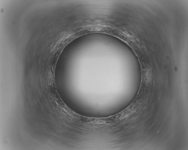 X0000060741446200511171045