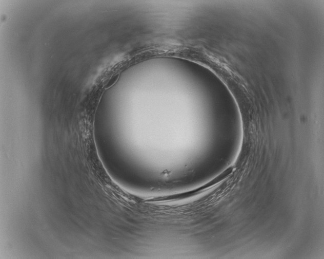 X0000060741447200511171045