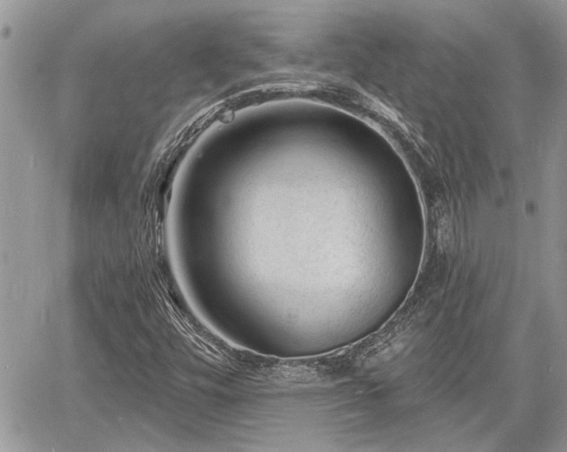 X0000060741448200511171045