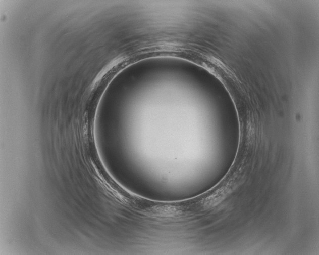 X0000060741450200511171045