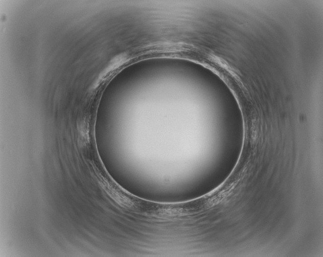 X0000060741451200511171045