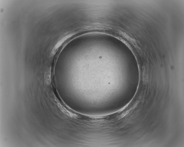 X0000060741453200511171045