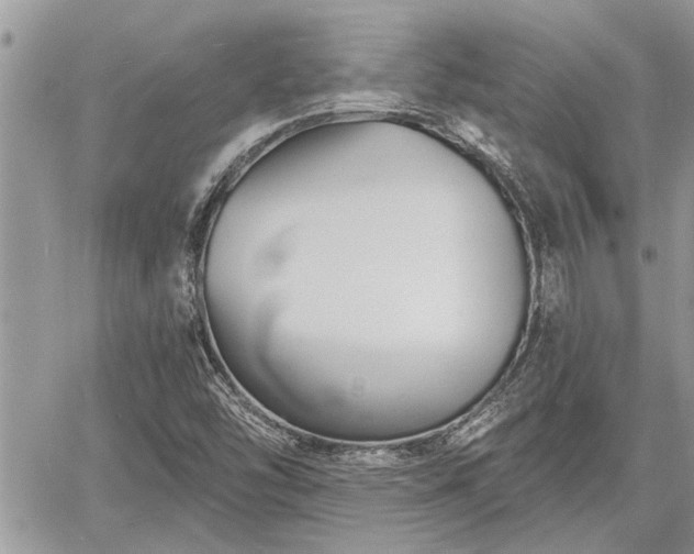 X0000060741454200511171045