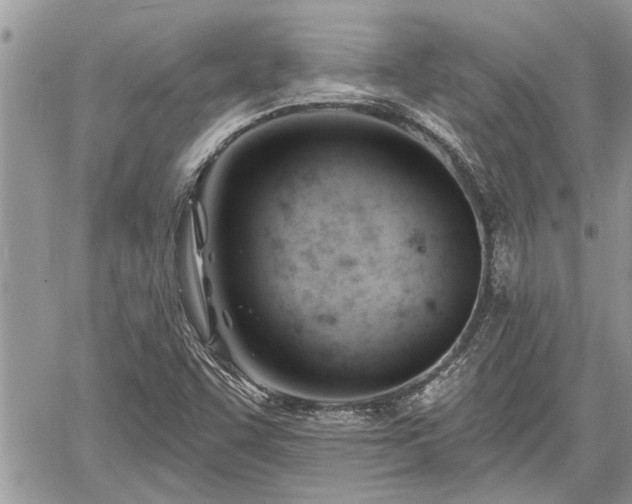 X0000060741455200511171045