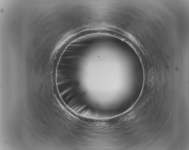 X0000060741456200511171045