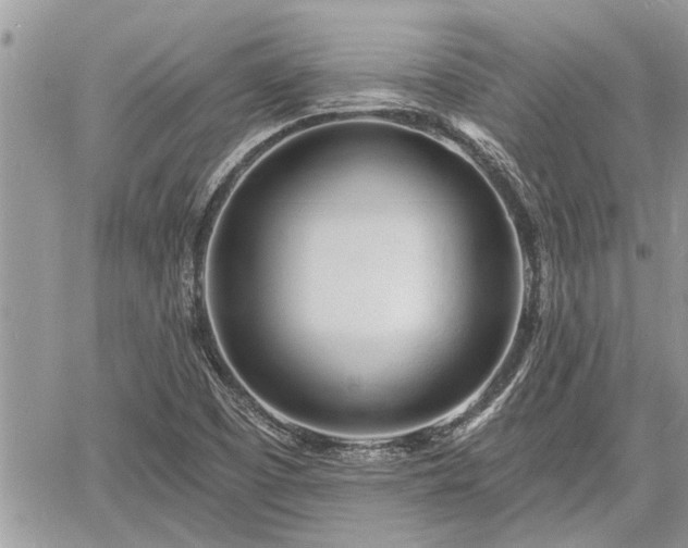 X0000060741457200511171045