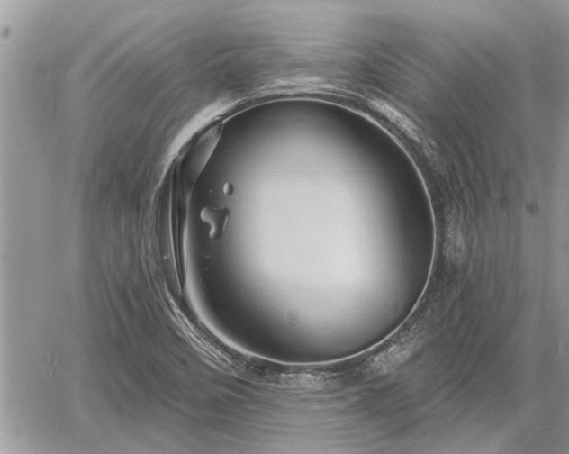 X0000060741458200511171045