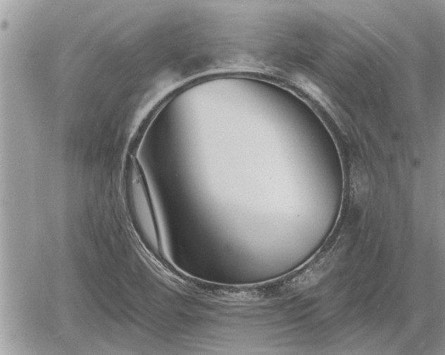 X0000060741460200511171045