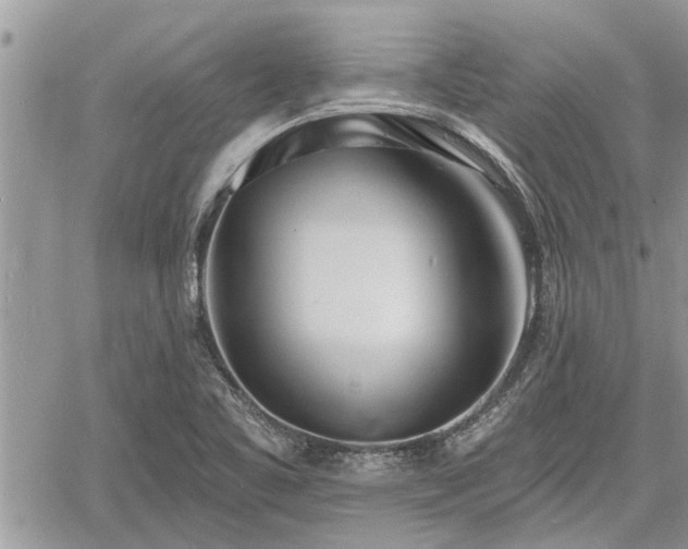 X0000060741461200511171045