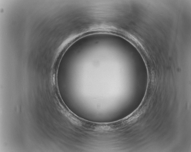 X0000060741462200511171045