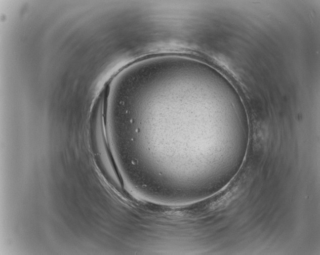 X0000060741463200511171045