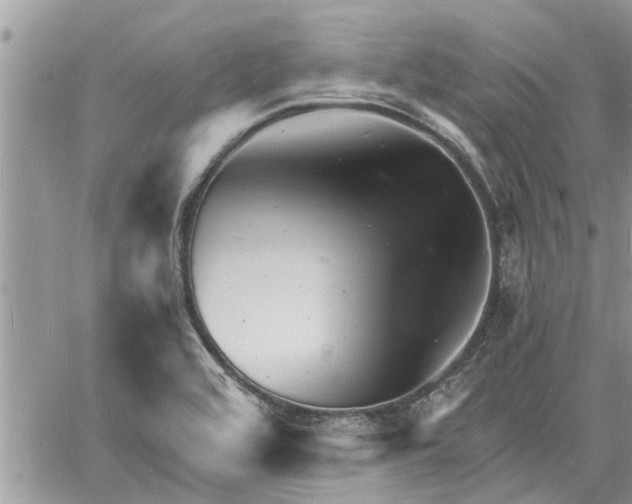 X0000060741464200511171045