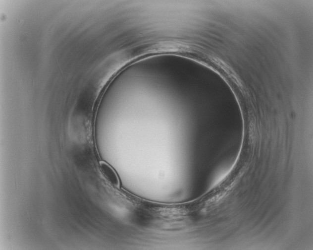 X0000060741465200511171045