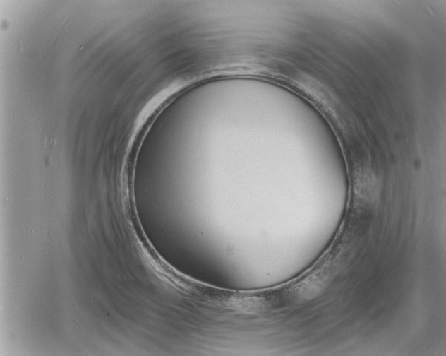 X0000060741466200511171045