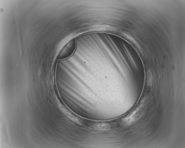 X0000060741467200511171045