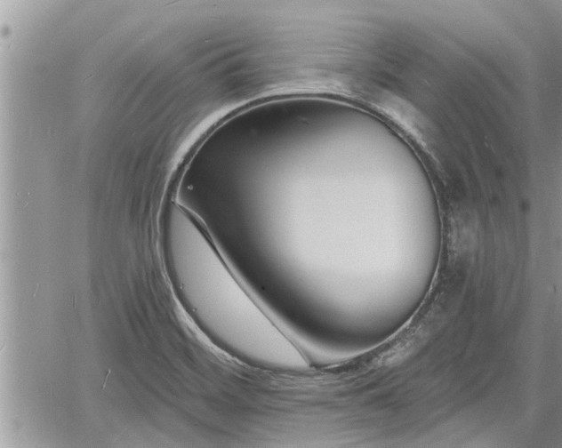 X0000060741468200511171045