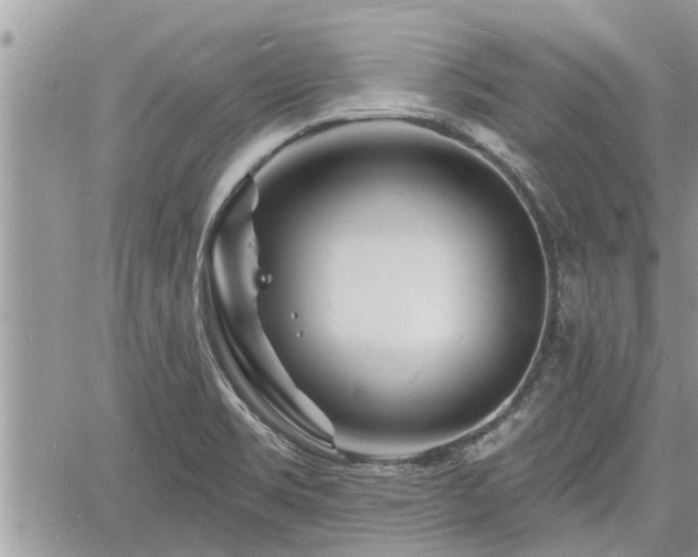 X0000060741469200511171045