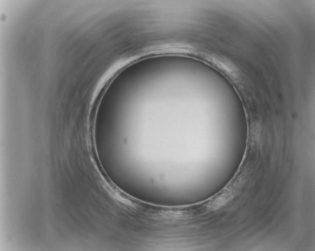 X0000060741470200511171045