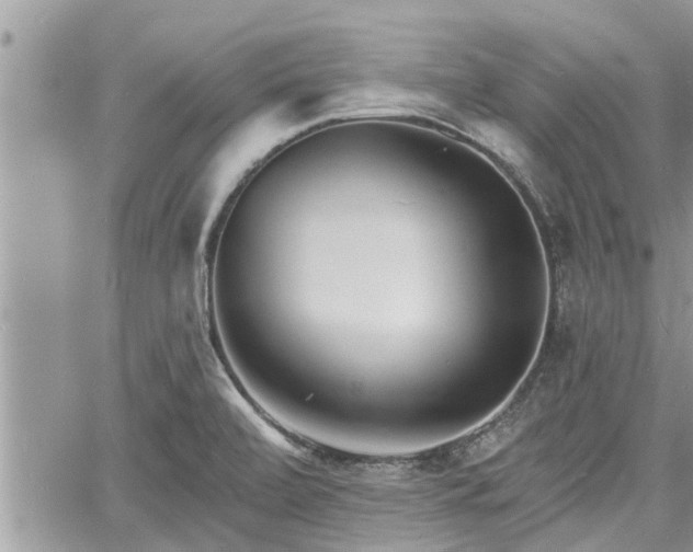 X0000060741472200511171045