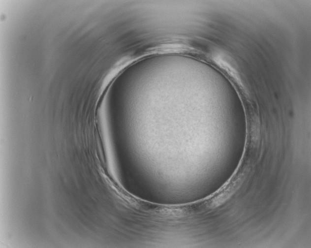 X0000060741473200511171045