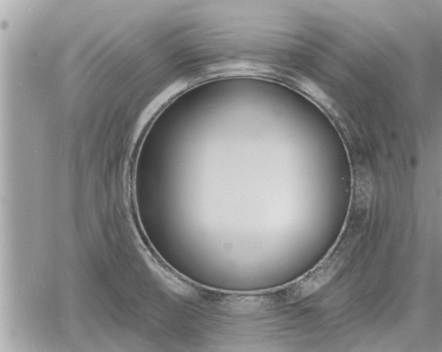 X0000060741474200511171045