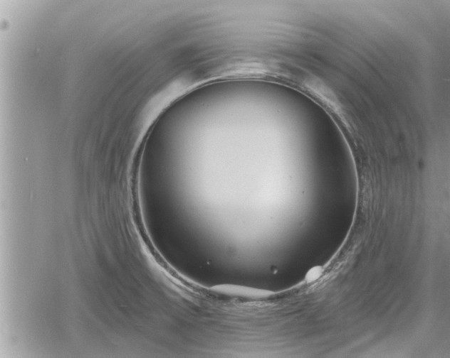 X0000060741475200511171045