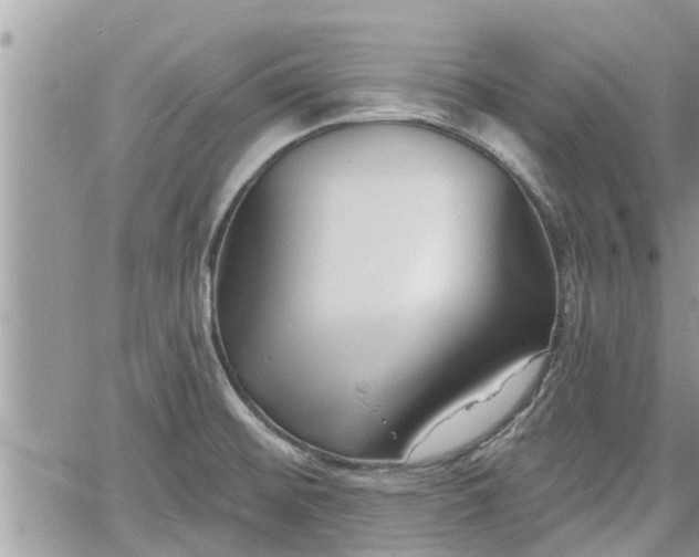 X0000060741476200511171045