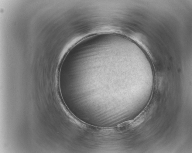 X0000060741477200511171045