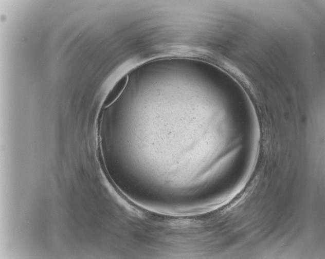 X0000060741479200511171044