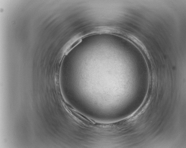 X0000060741481200511171044