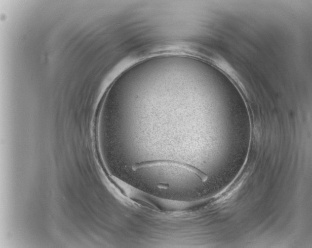 X0000060741482200511171044