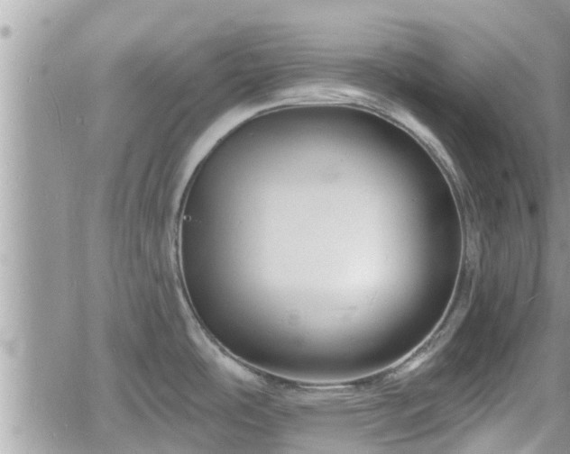 X0000060741486200511171044