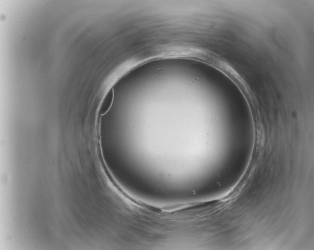 X0000060741487200511171044