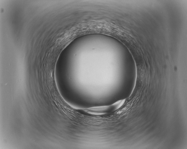 X0000060741489200511171044