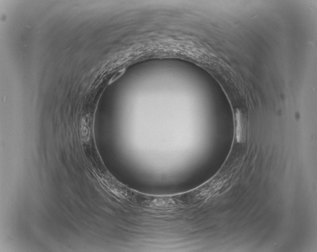 X0000060741491200511171044