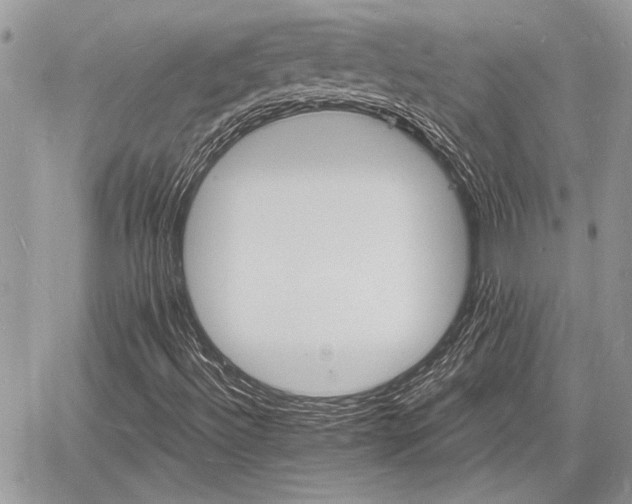 X0000060741492200511171044