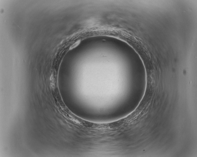 X0000060741493200511171044