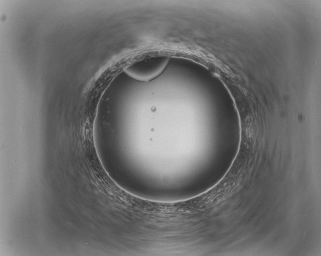 X0000060741495200511171044