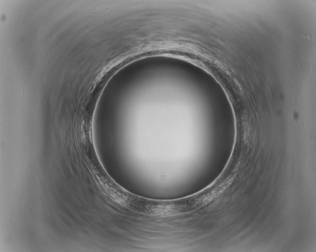 X0000060741497200511171044