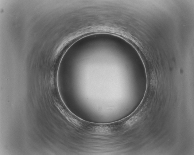 X0000060741499200511171044