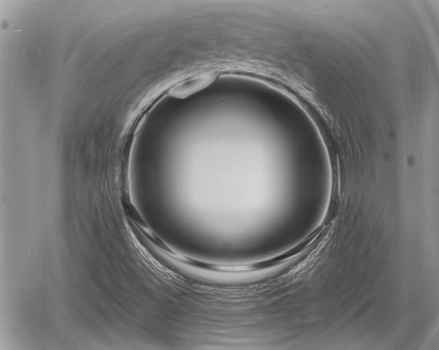 X0000060741500200511171044