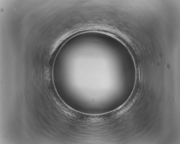 X0000060741501200511171044