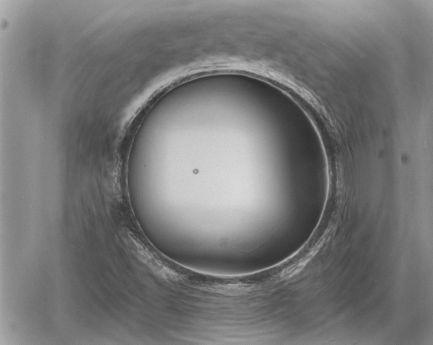 X0000060741502200511171044